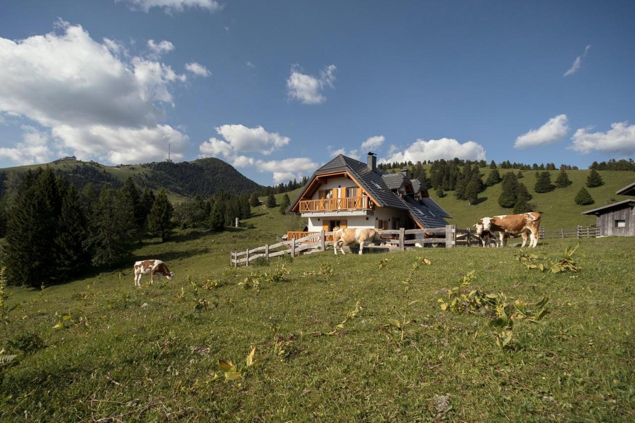 Jezerca - Krvavec *